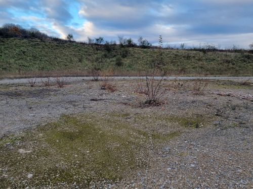 SCI ADEM - HERICOURT SCI ADEM - HERICOURT